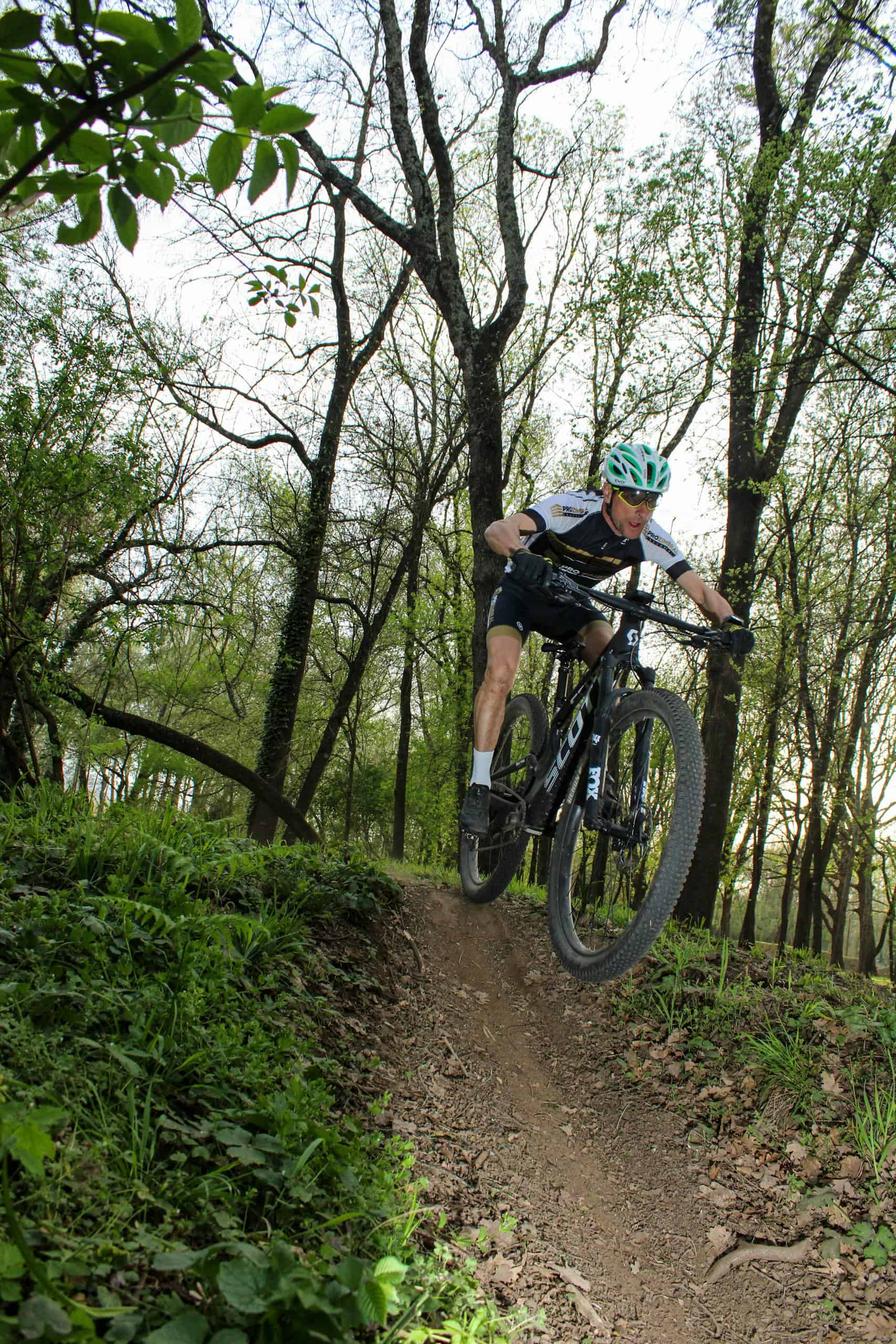 Exciting mountain biking adventure in the vibrant forests of Provence, France.